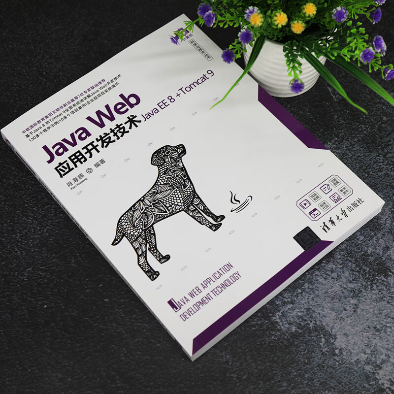 Java Web应用开发技术(Java EE 8 +Tomcat 9)（计算机科学与技术丛书）