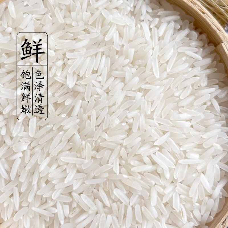 稻花香飘满人间:探寻优质大米的新时代