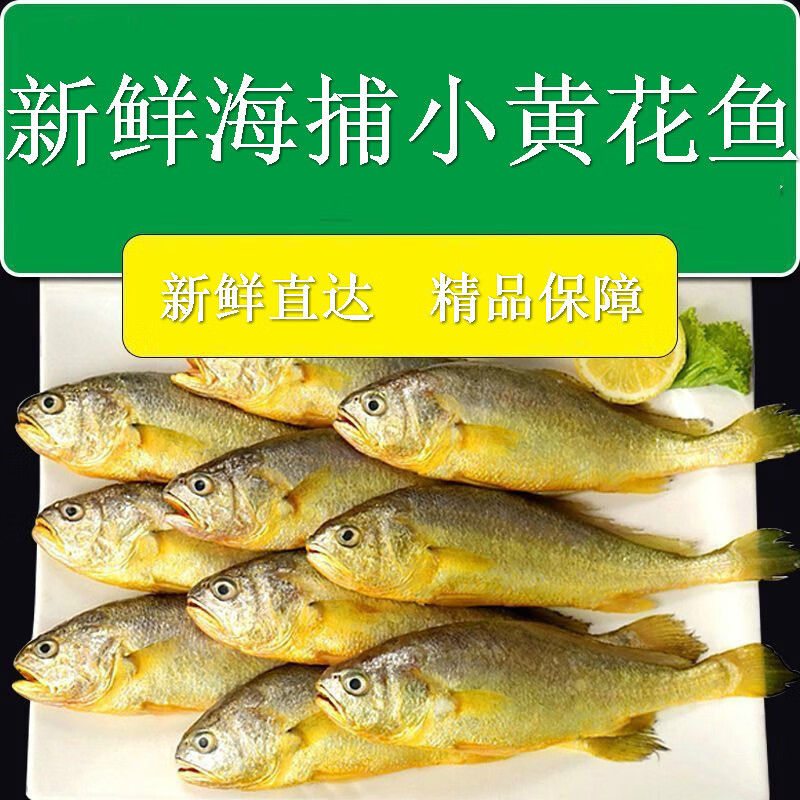 新鲜小黄鱼海捕海鲜冷冻深海鱼水产30%包冰 乌蒙蕴色 每斤8-9条 带箱6