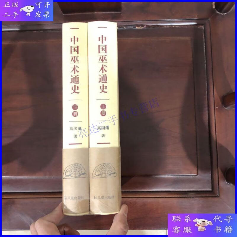 【二手9成新】中国巫术通史(全二册)(精装)