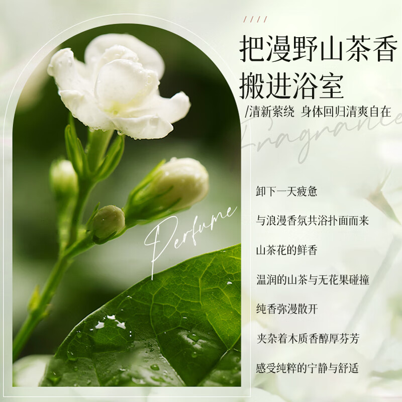 欧丽琦(OULIQI)山茶花蓬松柔顺洗发水丰盈柔顺止痒无硅油洗头膏露男女士持久留香 山茶花蓬松柔顺洗发水 500ml*2瓶