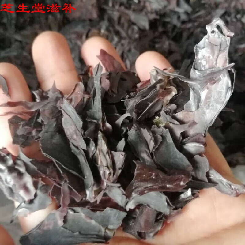 天然原生红皮藻500克大片掌状红藻  红海藻 掌状红皮藻 100g