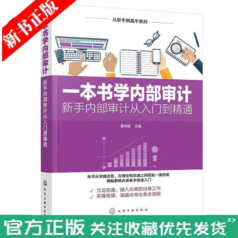一本书学内部审计 新手内部审计从入门到精通 内审人员审计报告业务经营绩效管理审计内部控制审计操作实务
