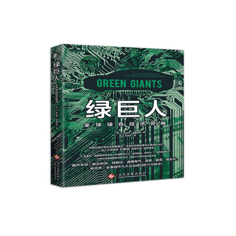绿巨人：全球绿色经济领袖