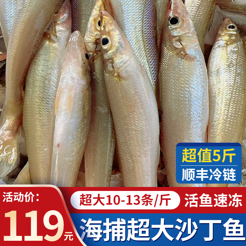 朵芙新鲜沙丁鱼 国产活冻沙尖沙钻鱼人工冷冻 船捕海鲜水产鱼类 新鲜沙丁鱼5斤