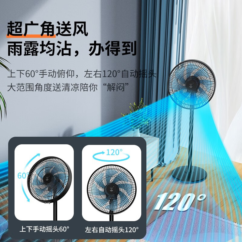 钻石牌(DIAMOND)风扇落地扇电风扇家用落地风扇办公轻音节省办公室立式风扇客厅大风力定时遥控机械摇头电扇 FS-35B【八叶/机械】