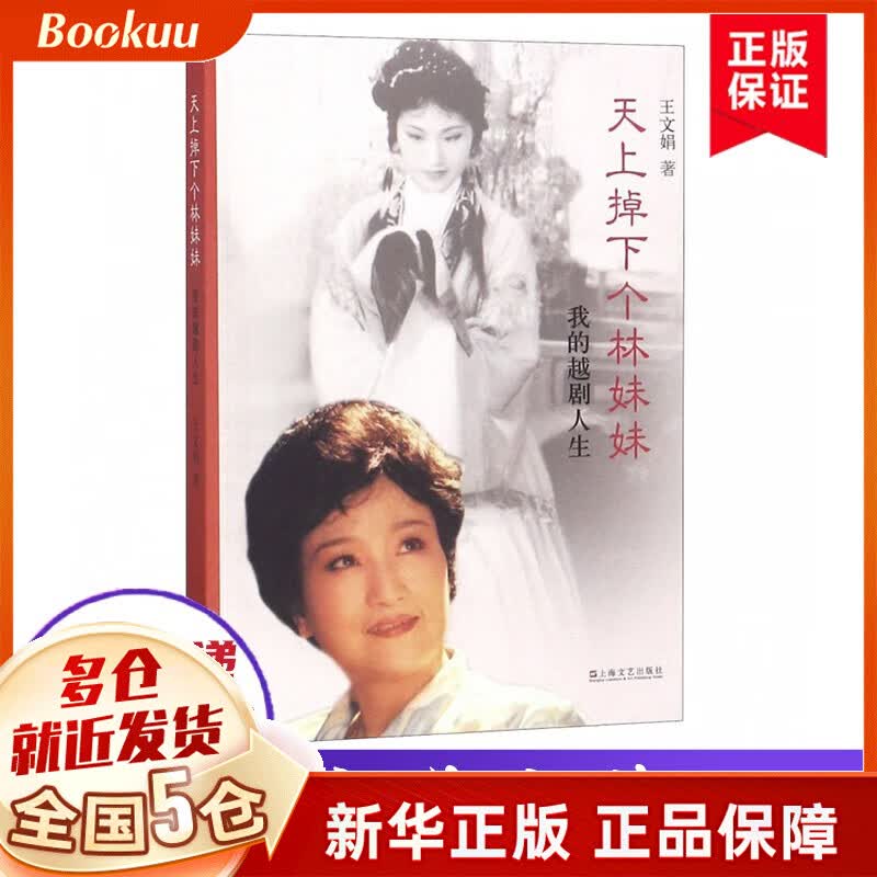 天上掉下个林妹妹 我的越剧人生 王文娟 著