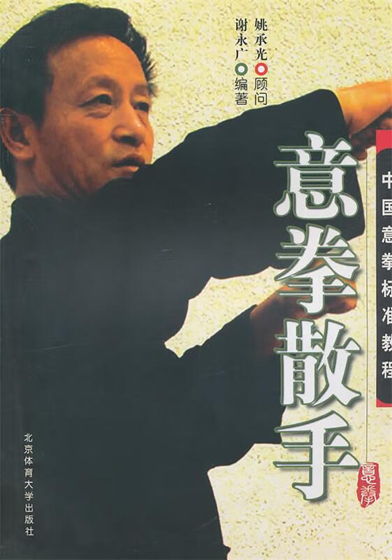 中国意拳标准教程:意拳散手