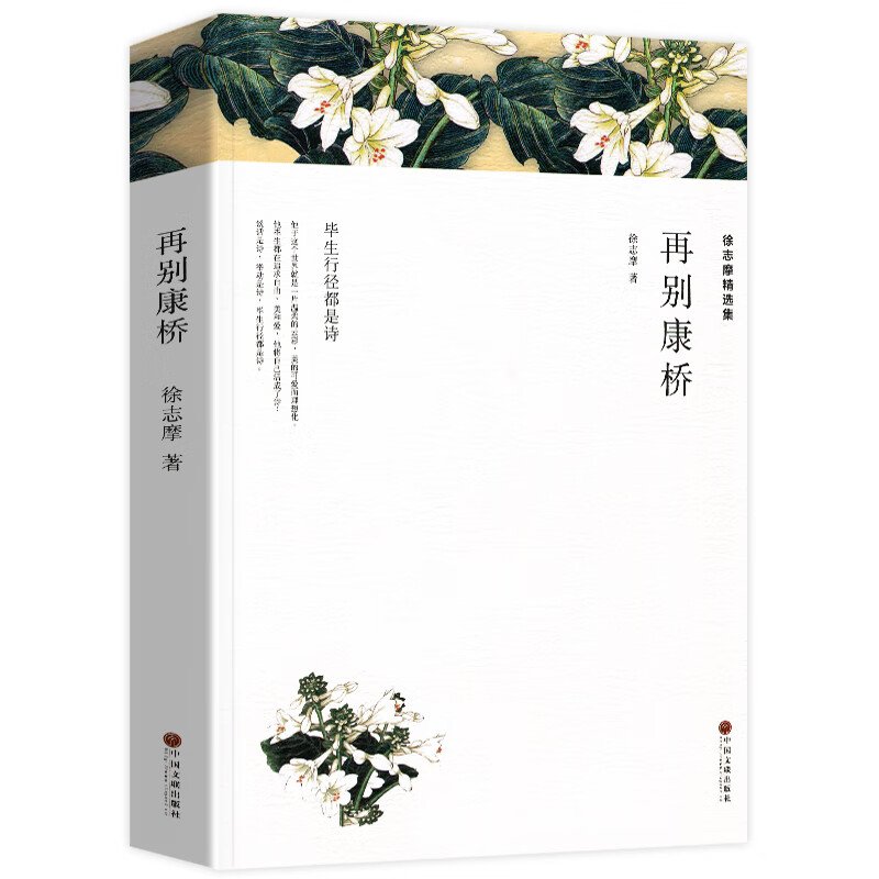 再别康桥 徐志摩诗集散文集 中国现当代诗