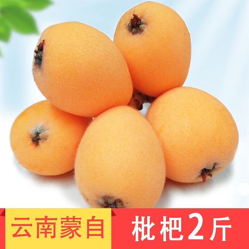 绿养道【顺丰快递】云南蒙自枇杷果2斤净重 新鲜水果