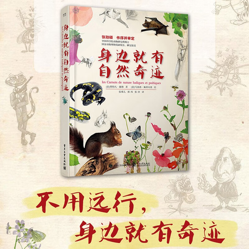 身边就有自然奇迹