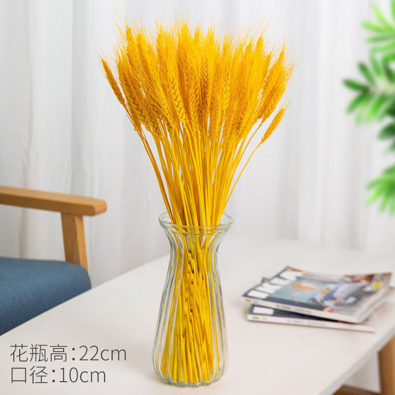 【枫琅精选】天然黄金大麦麦穗干花居家客厅摆设装饰批发40-55CM 50支+花瓶随机