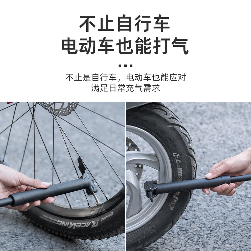 洛克兄弟(ROCKBROS)自行车打气筒便携迷你美法嘴山地车玩具篮球家用充气泵装备 小巧便携款 带支架 美/法嘴 80psi