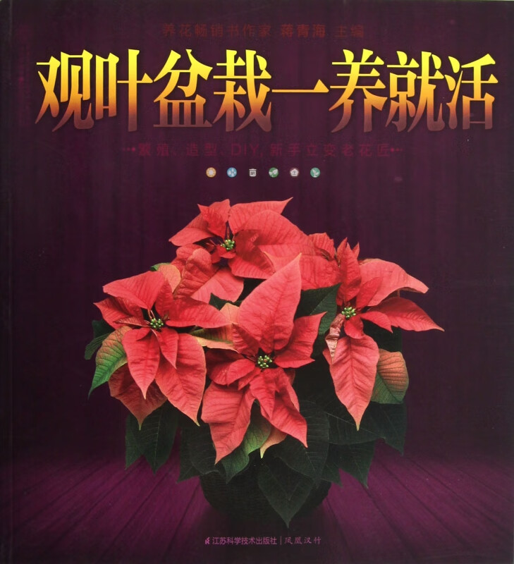 观叶盆栽一养就活