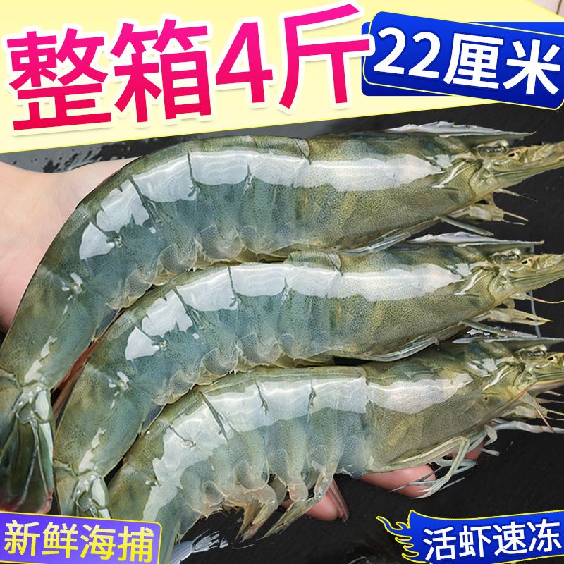 特大号虾批发虾子大虾鲜活批发青虾活虾鲜冻虾一箱大虾 12-15厘米 4斤