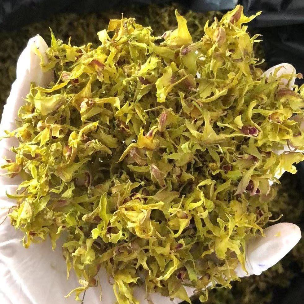 石斛花茶正宗铁皮石斛干花 雁荡山铁皮石斛花茶石斛干花茶铁皮枫 5克