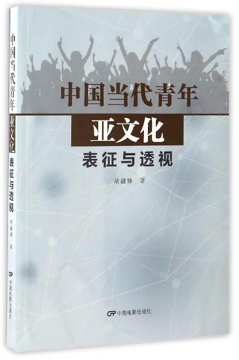 中国当代青年亚文化:表征与透视【稀缺图书,放心购买】