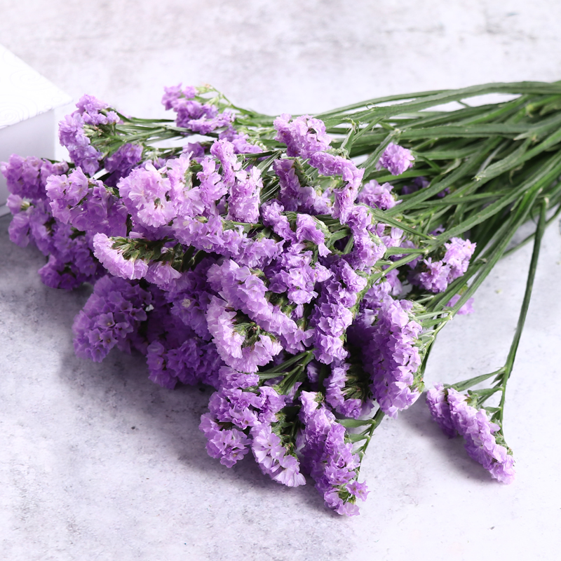 爱满(aiman) 云南勿忘我真花干花花束家居摆设小清新客厅满天星插花论