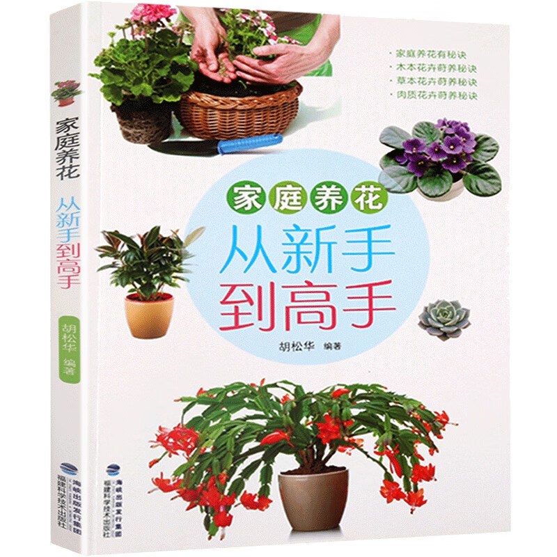 家庭养花从新手到高手