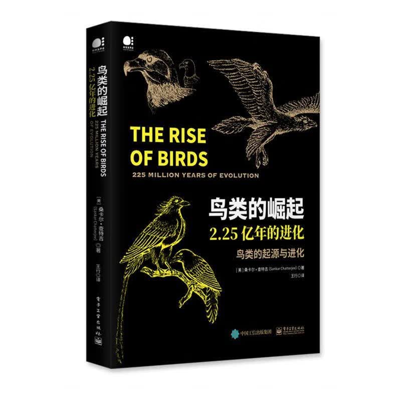 鸟类的崛起 科普读物  9787121376900