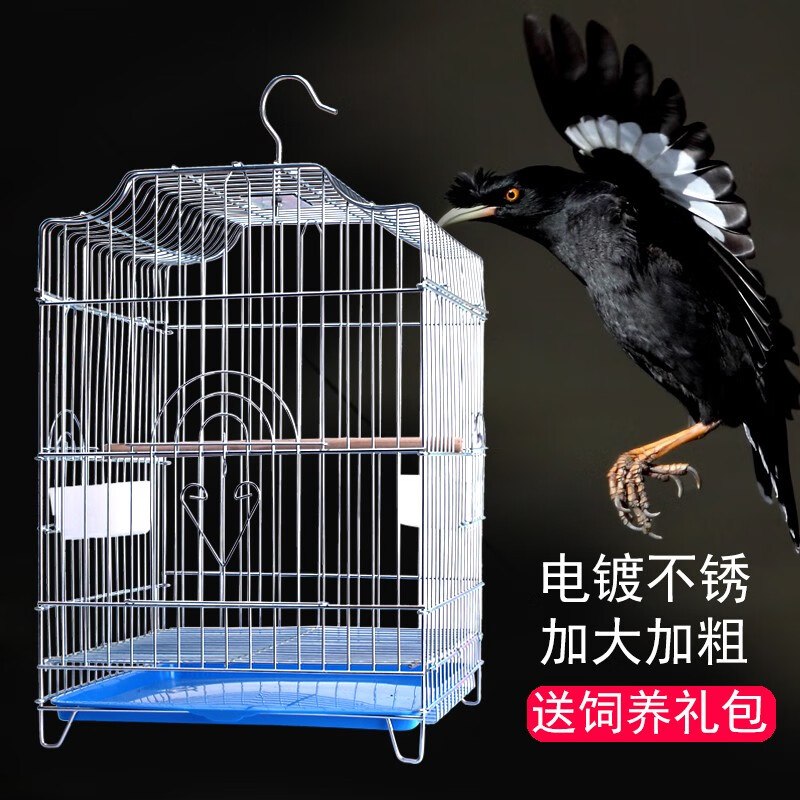 真假感受威毕鸟笼解密真相，主要的优势在哪里