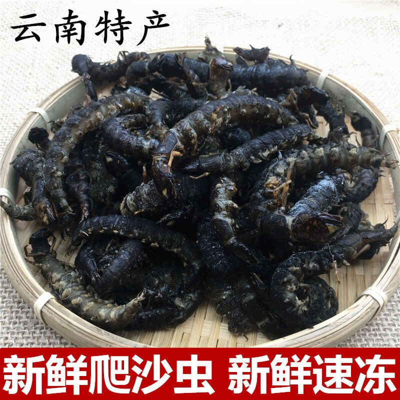 冰冻爬沙虫 400克 鲜冻水蜈蚣 云南特产美味食用昆虫 河里爬爬虫