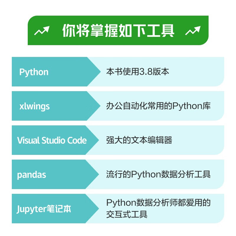 Excel+Python 飞速搞定数据分析与处理(图灵出品)