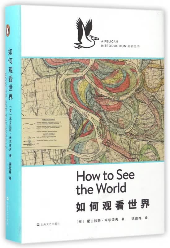 如何观看世界(精)/鹈鹕丛书