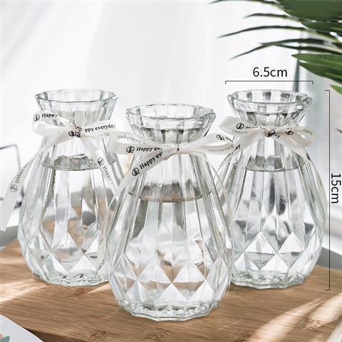 欧式创意玻璃花瓶透明水培绿萝植物玻璃花瓶家用插花客厅装饰摆件 新款【加厚】 12.5风信子花瓶【透明色】一个