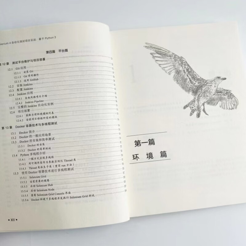 Selenium 4 自动化测试项目实战:基于 Python 3