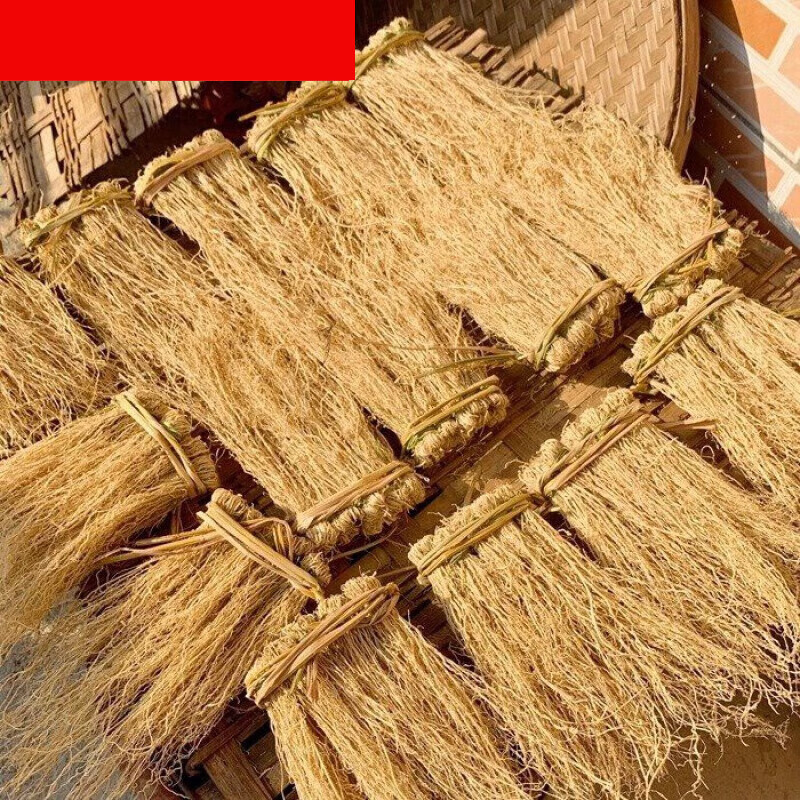 养干草丝线根龙须根龙须草开胃草广东特产煲汤食材汤料 1件10小扎