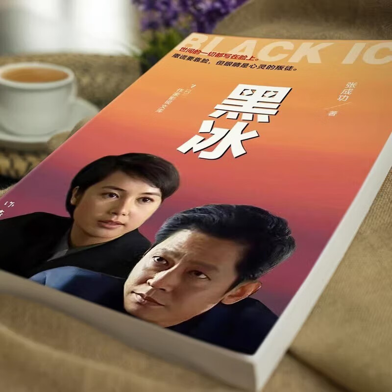 黑冰小说正版 电视剧原著小说书籍黑冰张成功著世间的一切都写在脸上