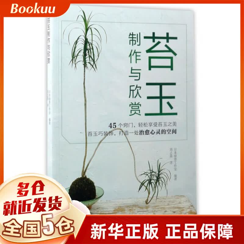 苔玉制作与欣赏