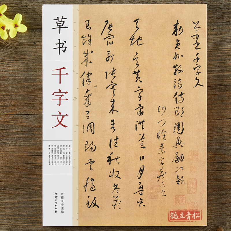 怀素张旭孙过庭赵佶张瑞图文徵明傅山草书千字文 毛笔书法草书字帖附