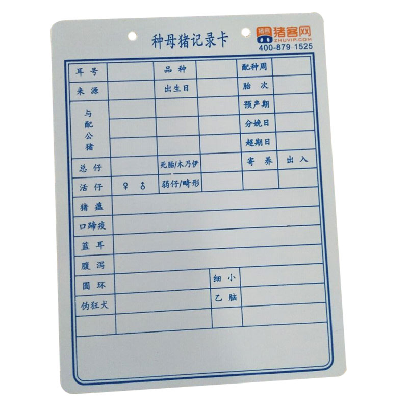 淳傲双面加厚母猪卡种母猪记录卡妊娠卡种猪档案空白卡片养猪养殖设备