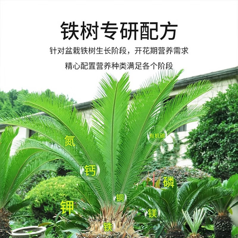 铁树专用肥料硫酸亚铁防叶子发黄营养液喜酸植物花卉盆栽通用型 【铁树专用肥】单瓶