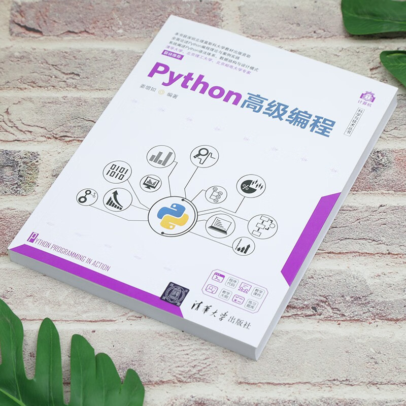 Python高级编程（计算机科学与技术丛书）详情图