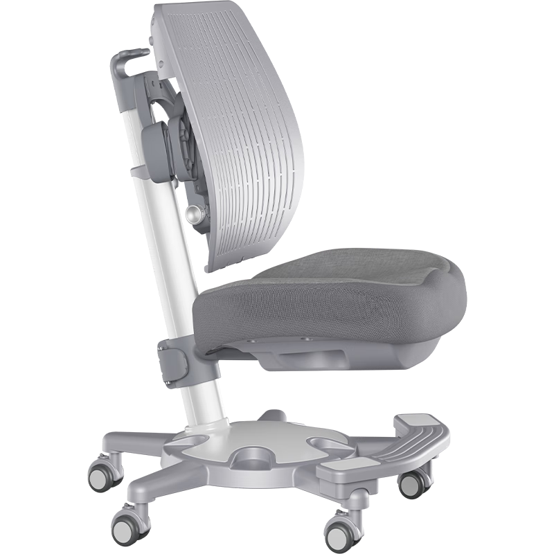 Sugar Swan¹ͯѧϰӾ˹ѧд ȿ˱֣ɫ ѧϰ