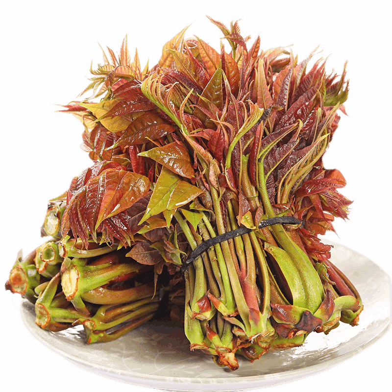 金百粟2026年新鲜头茬香椿芽野菜红绿油香椿叶野生现采香椿蔬菜现摘 0.5斤香椿-顺丰到家