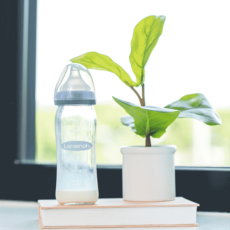 兰思诺(lansinoh)兰思诺奶瓶玻璃宽口径套装初生婴儿 240ml 玻璃奶瓶