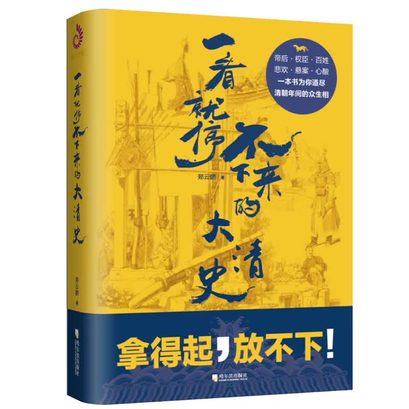 一看就停不下来的大清史 郑云鹏著 三百年清朝史一本书为你简单说透 史学读物 皇帝宫妃朝臣搞笑趣味历史