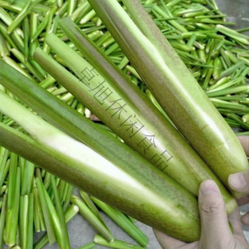 高山冷水新鲜茭白农家时令绿色蔬菜茭儿月子营养食谱高笋茭瓜 3斤带壳
