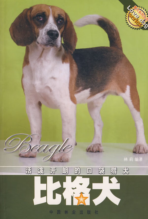 活泼开朗的口袋猎犬 比格犬 林莉【正版图书,放心购买】