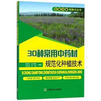 张氏父子与东北城市现代化建设