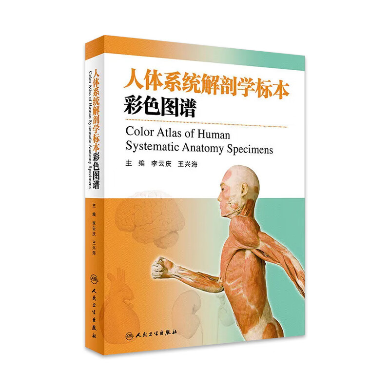 人体系统解剖学标本彩色图谱