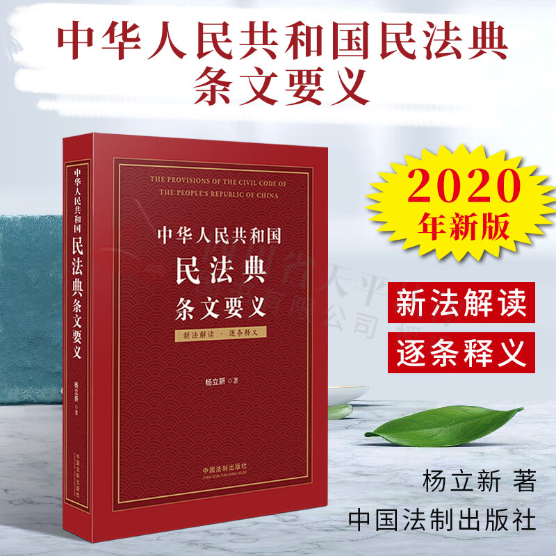 中华人民共和国民法典条文要义 杨立新 新