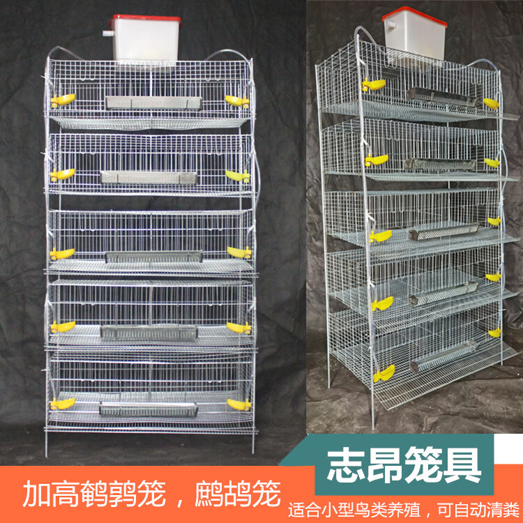 柯必达定制加高立体式鹌鹑笼鹧鸪笼可自动清粪多层养殖笼 加高102cm4