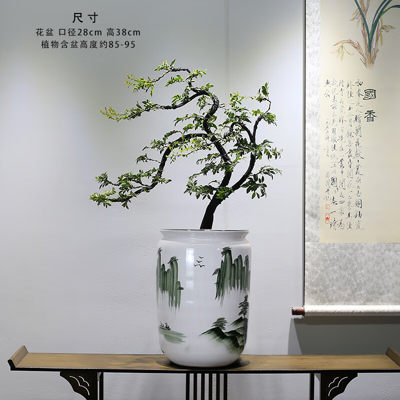 风动式小叶紫檀黑骨茶 带盆栽好