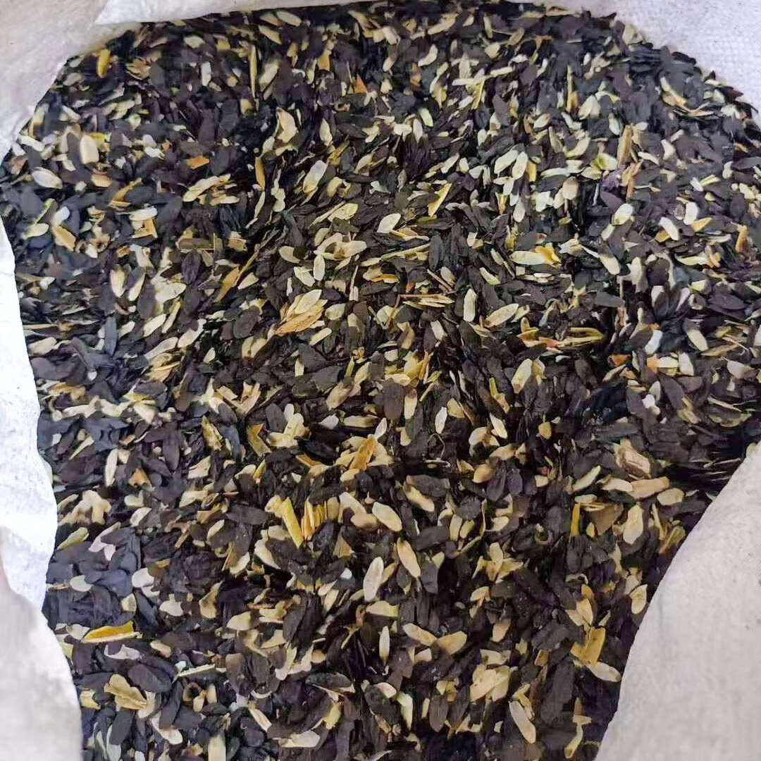 芗苒玉簪种子多年生宿根花卉四季花籽种籽籽 玉簪种子一斤