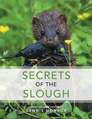 预订 secrets of the slough